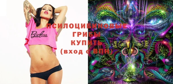 индика Армянск
