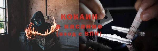 индика Армянск