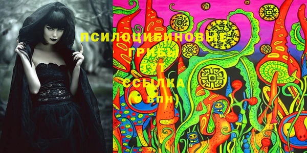 дурь Аркадак