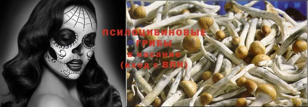 дурь Аркадак