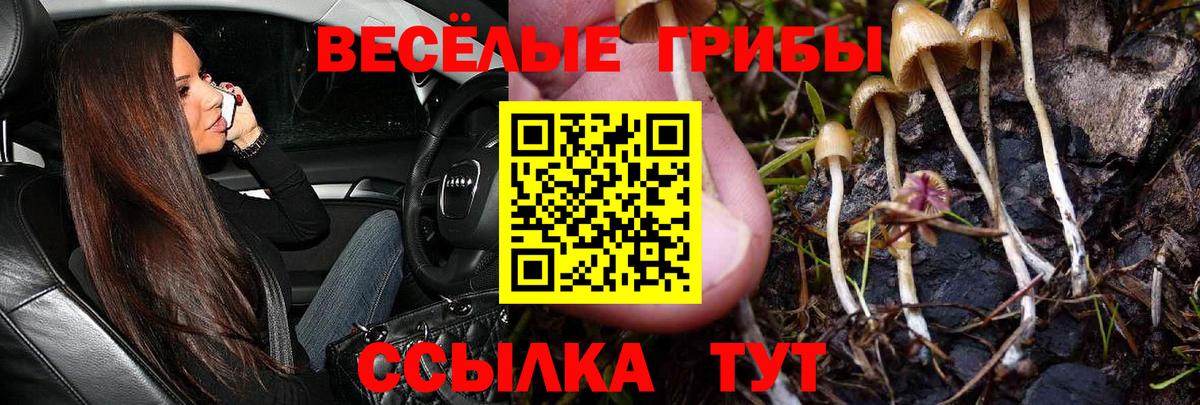закладка  Псилоцибиновые грибы Magic Shrooms  Вход с VPN  Барабинск 